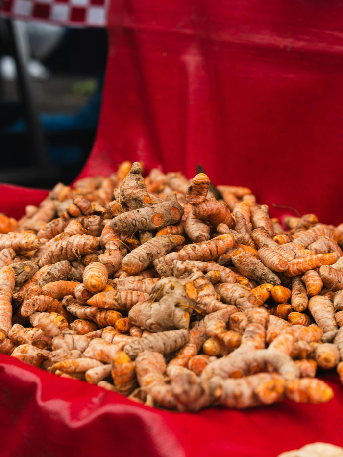 Rhizomes de curcuma frais (Curcuma longa) empilés sur un étal, montrant la chair orange vive et la peau brune caractéristique.