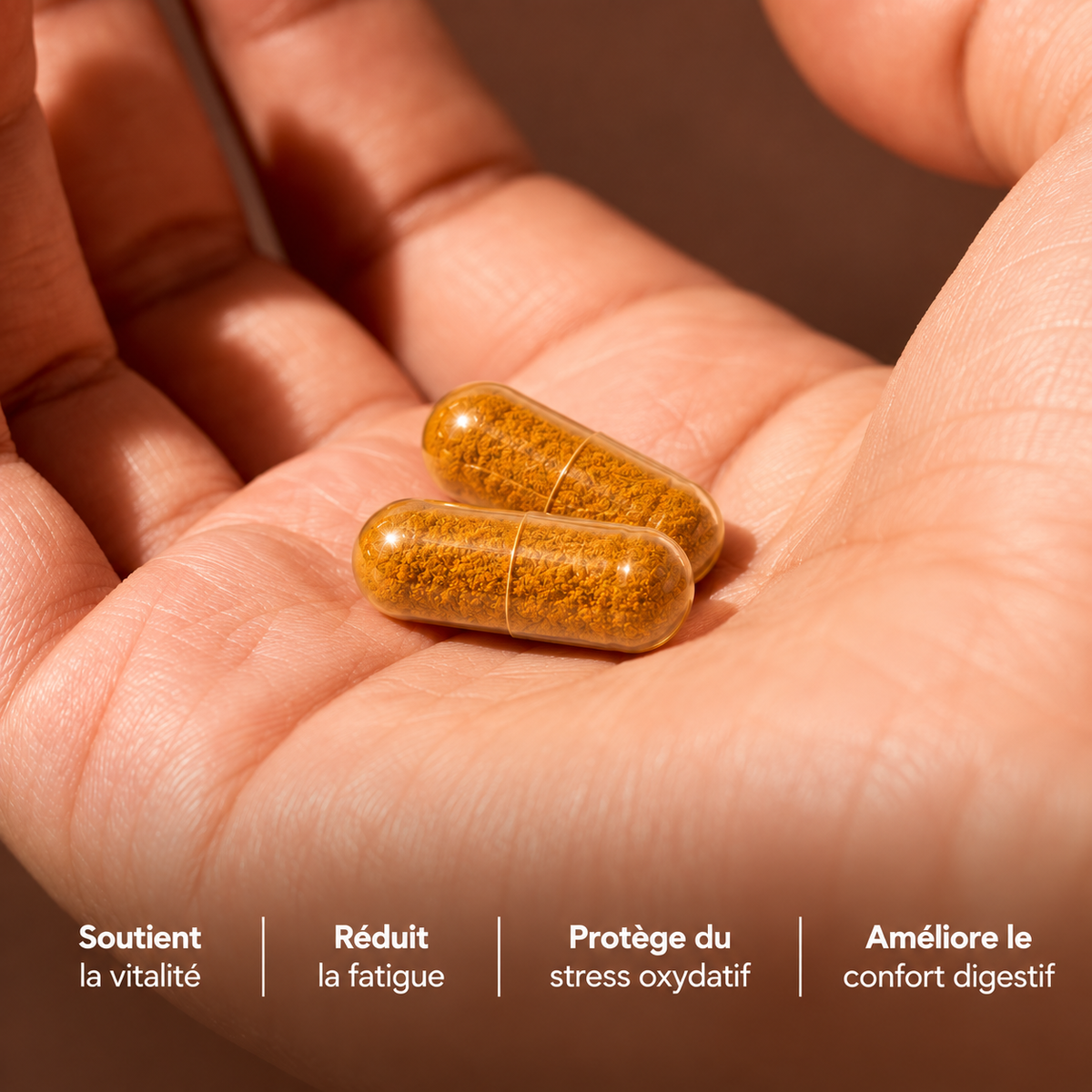 Capsule n°1 – Complément au curcuma bio